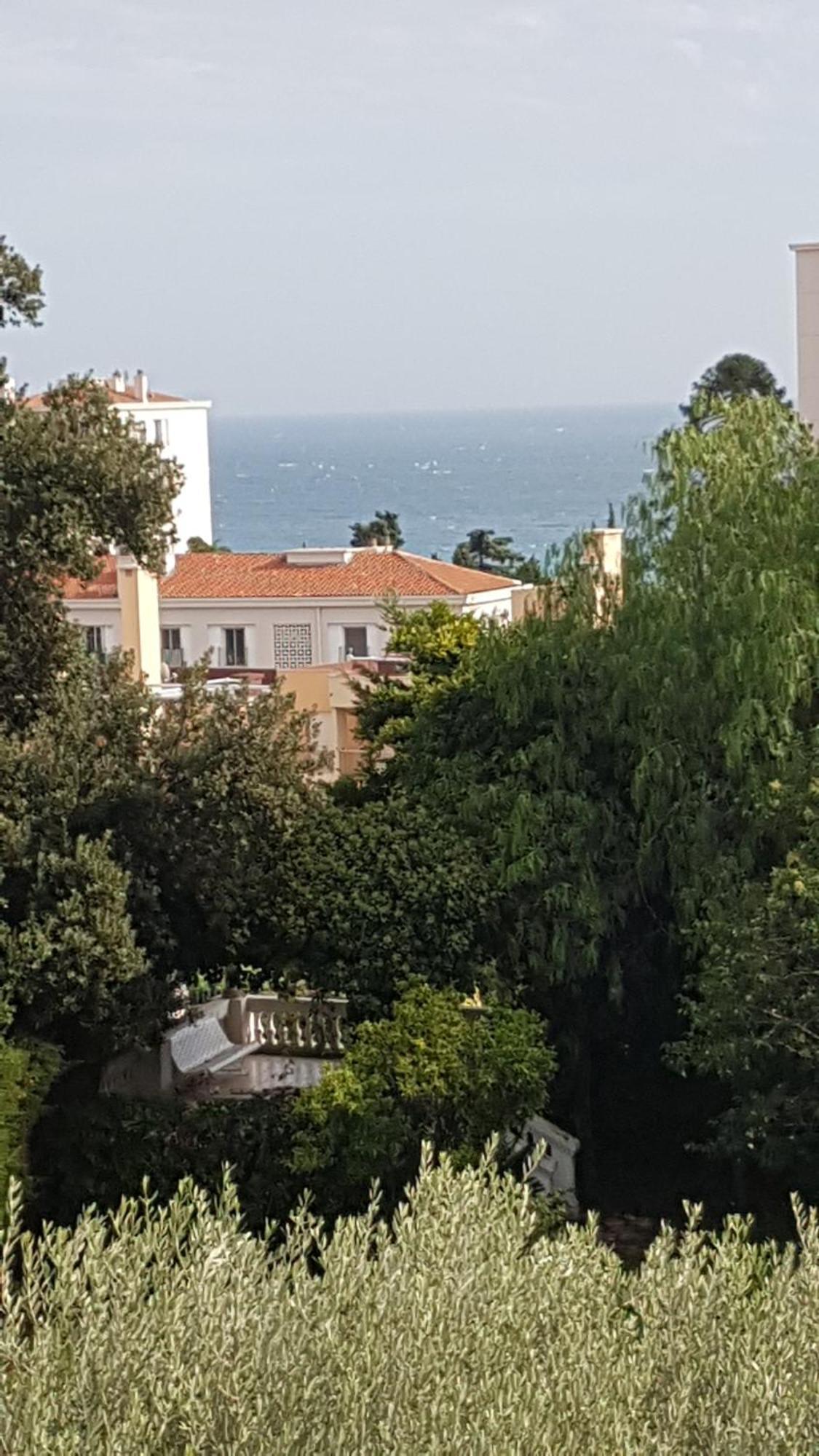 Les Palmiers A 700M De La Mer Nice Phòng bức ảnh