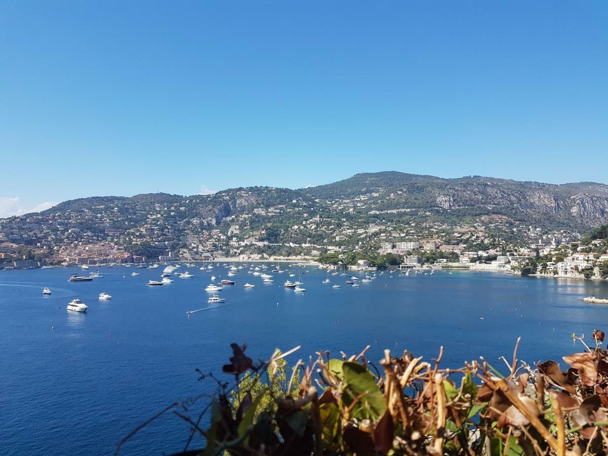 Les Palmiers A 700M De La Mer Nice Ngoại thất bức ảnh