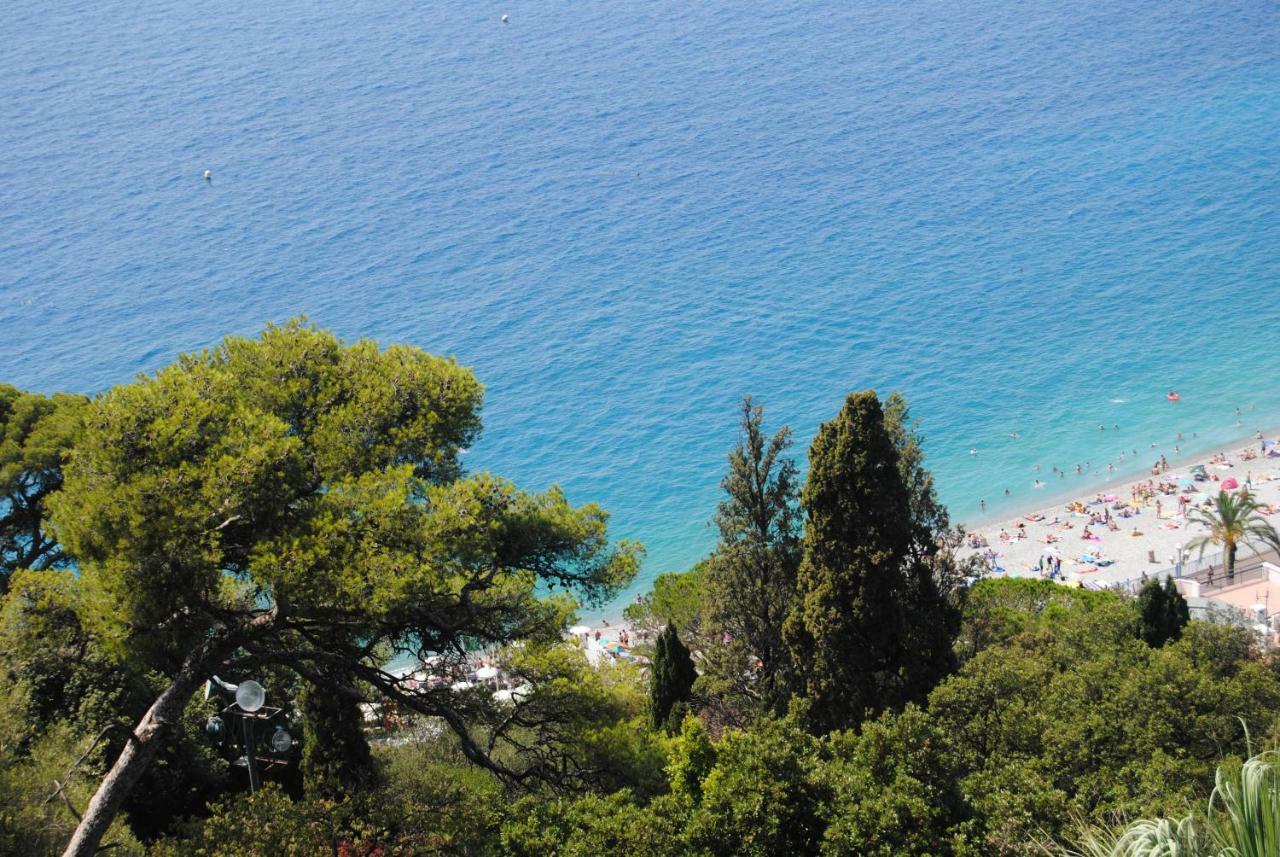 Les Palmiers A 700M De La Mer Nice Ngoại thất bức ảnh